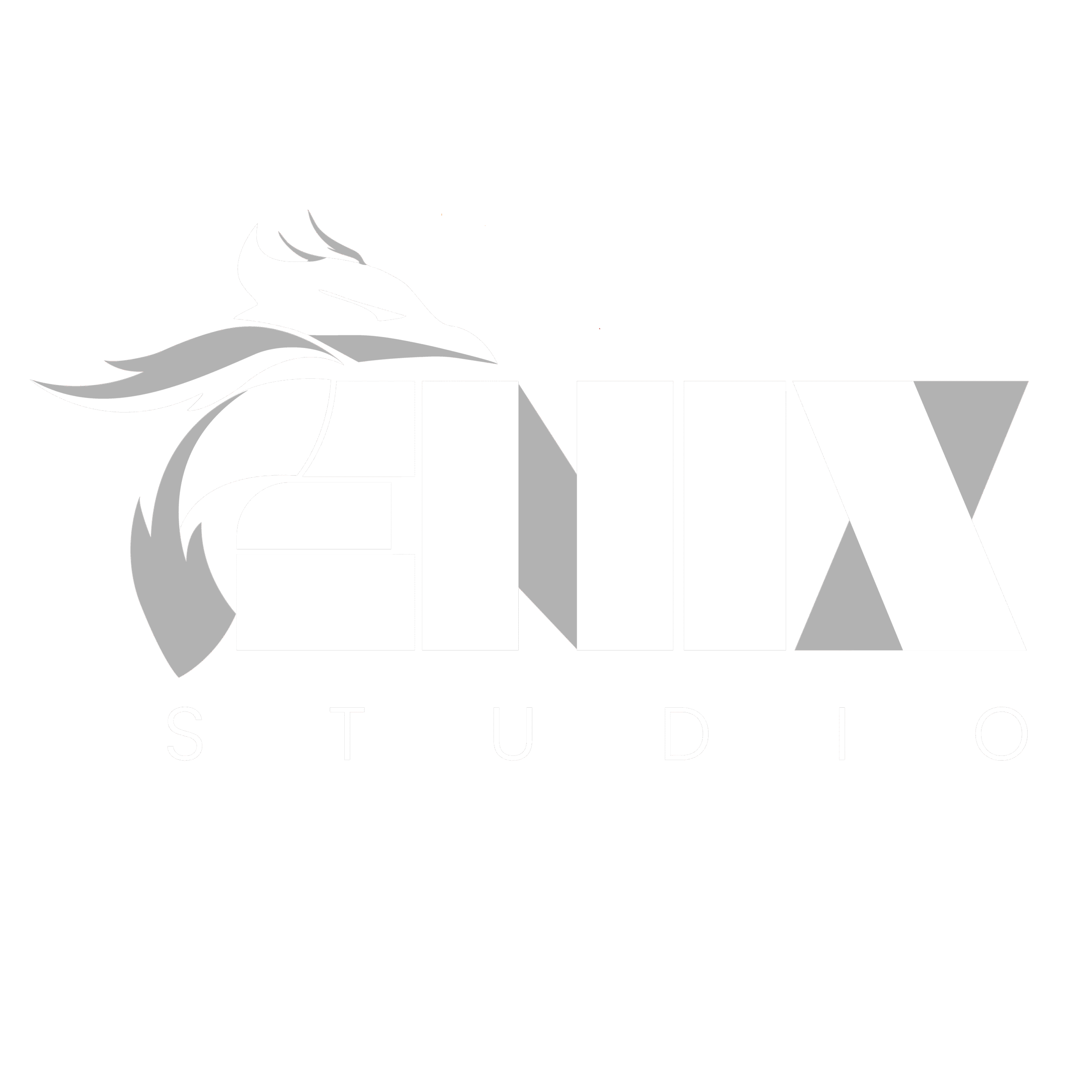 enixstudio
